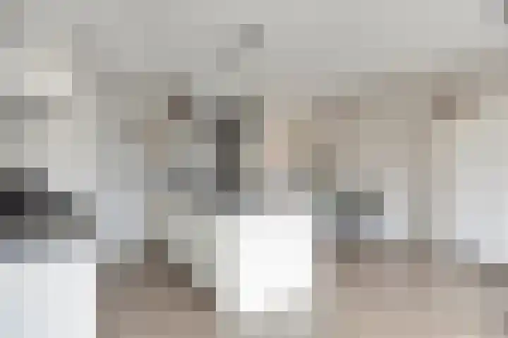 Meester J van Dolderenstraat 6 Kesteren thumbnail 15