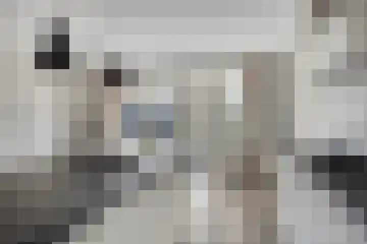 Meester J van Dolderenstraat 6 Kesteren thumbnail 17