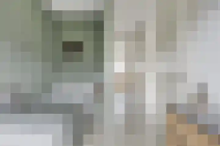 Meester J van Dolderenstraat 6 Kesteren thumbnail 23