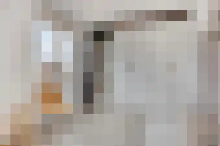 Meester J van Dolderenstraat 6 Kesteren thumbnail 25