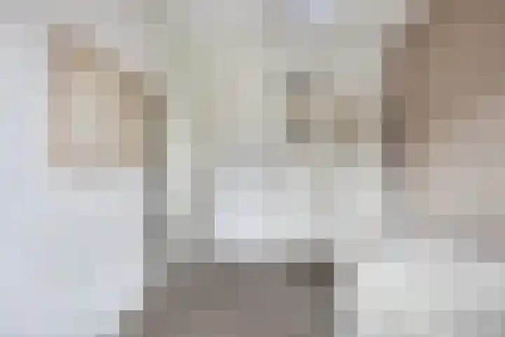 Meester J van Dolderenstraat 6 Kesteren thumbnail 27