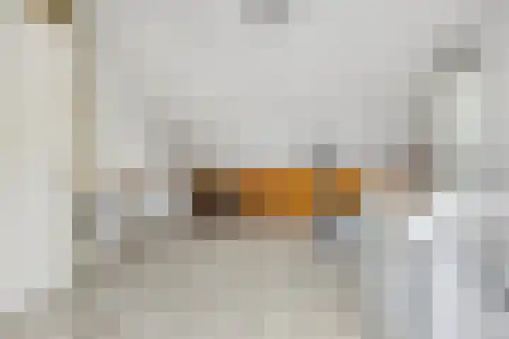 Meester J van Dolderenstraat 6 Kesteren thumbnail 31