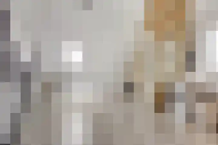Meester J van Dolderenstraat 6 Kesteren thumbnail 32