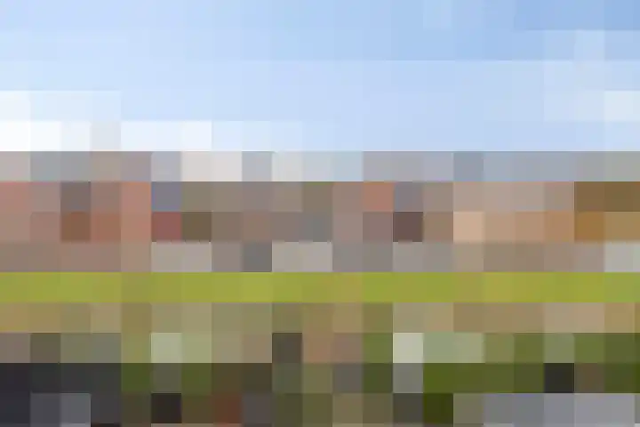 Meester J van Dolderenstraat 6 Kesteren thumbnail 33