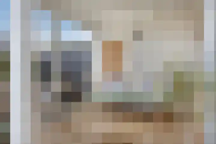 Meester J van Dolderenstraat 6 Kesteren thumbnail 35