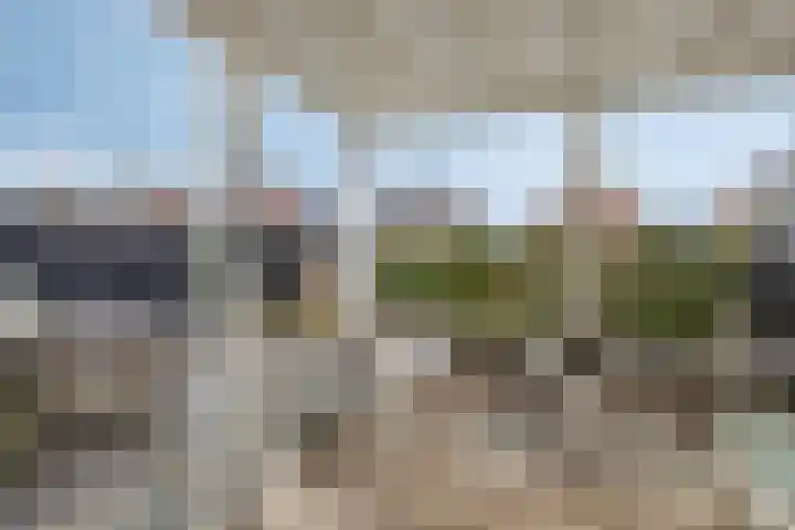Meester J van Dolderenstraat 6 Kesteren thumbnail 36