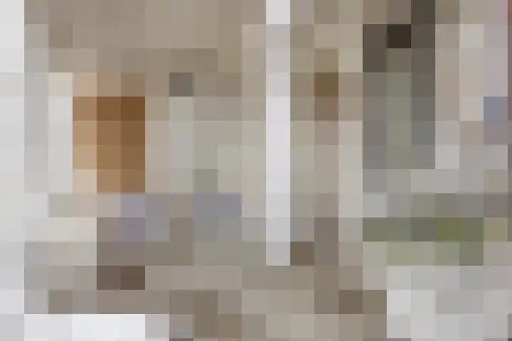 Meester J van Dolderenstraat 6 Kesteren thumbnail 37