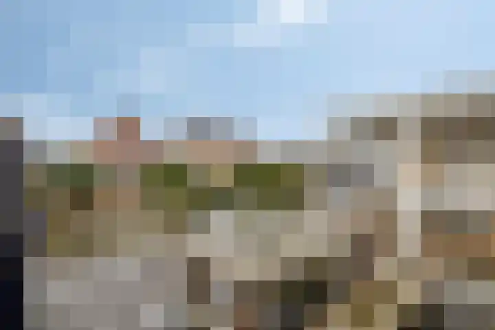 Meester J van Dolderenstraat 6 Kesteren thumbnail 38