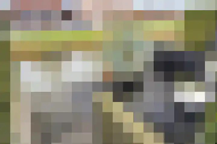 Meester J van Dolderenstraat 6 Kesteren thumbnail 39