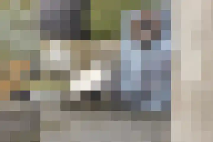 Meester J van Dolderenstraat 6 Kesteren thumbnail 40