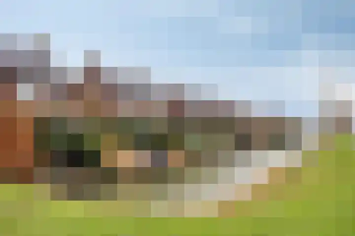 Meester J van Dolderenstraat 6 Kesteren thumbnail 43