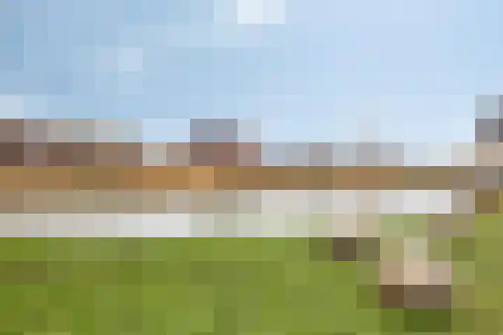 Meester J van Dolderenstraat 6 Kesteren thumbnail 44