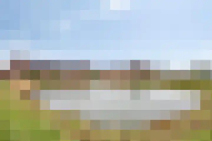 Meester J van Dolderenstraat 6 Kesteren thumbnail 46