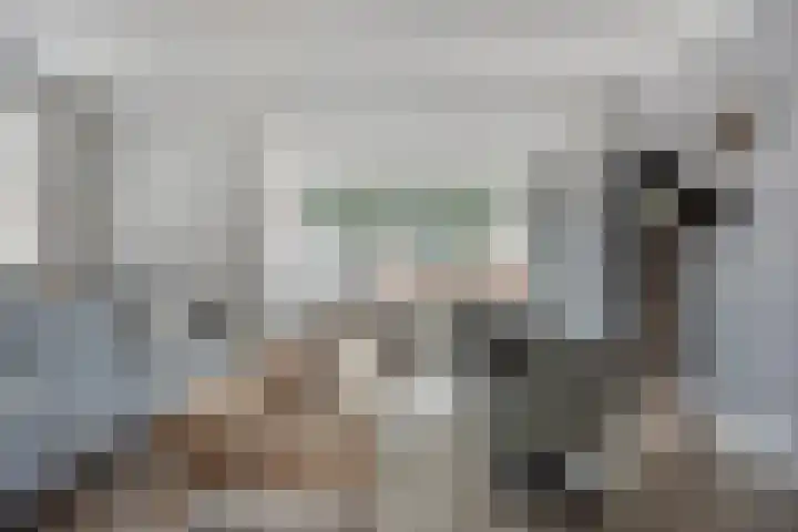 Meester J van Dolderenstraat 6 Kesteren thumbnail 5