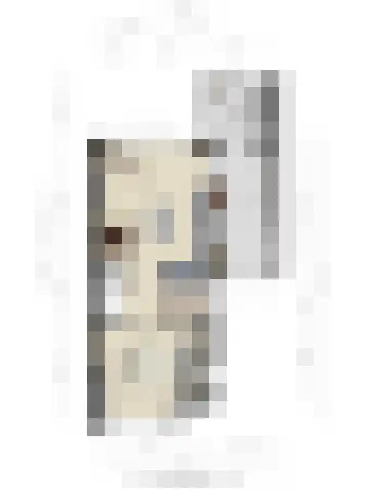Meester J van Dolderenstraat 6 Kesteren thumbnail 51