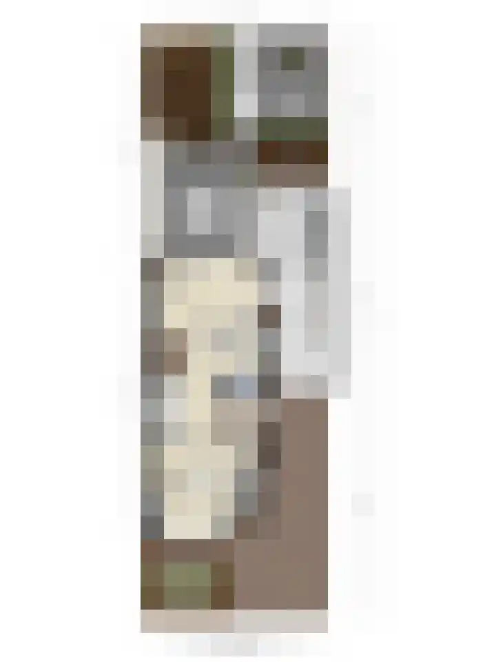 Meester J van Dolderenstraat 6 Kesteren thumbnail 57