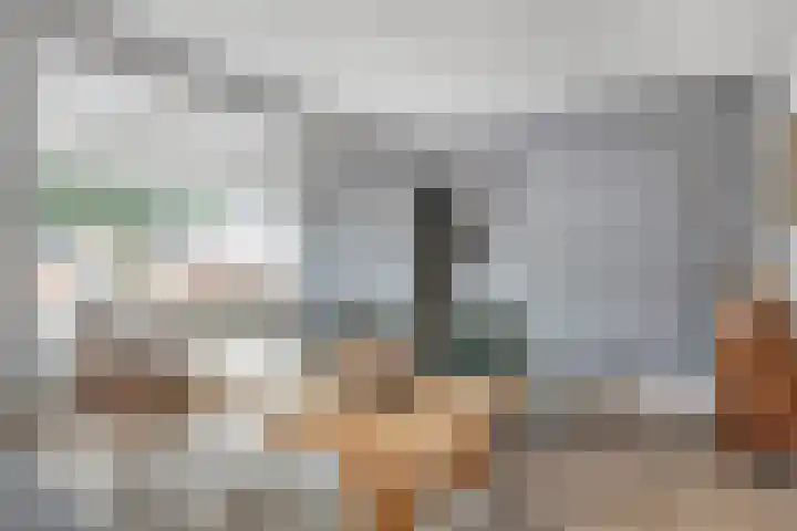 Meester J van Dolderenstraat 6 Kesteren thumbnail 6