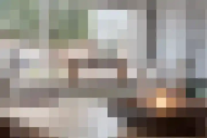 Meester J van Dolderenstraat 6 Kesteren thumbnail 7