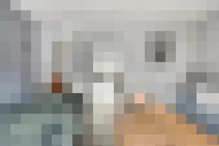 Meester J van Dolderenstraat 6 Kesteren thumbnail 8