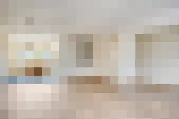 Meester Jan van Doesburgstraat 21 Wapenveld thumbnail 5
