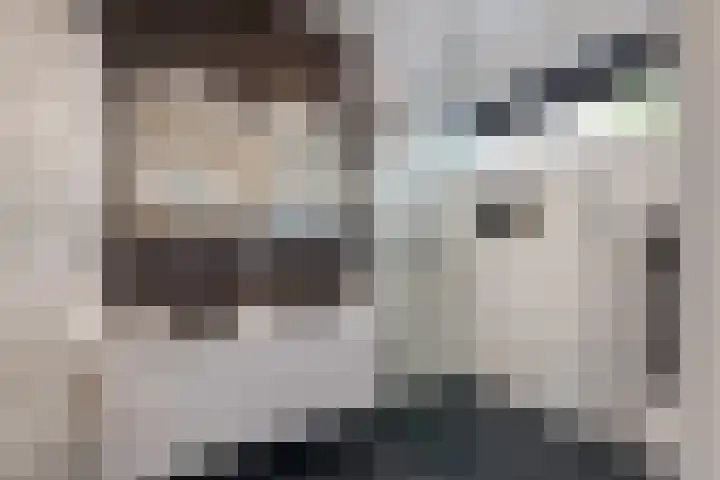 Meester Jan van Doesburgstraat 9 Wapenveld thumbnail 21
