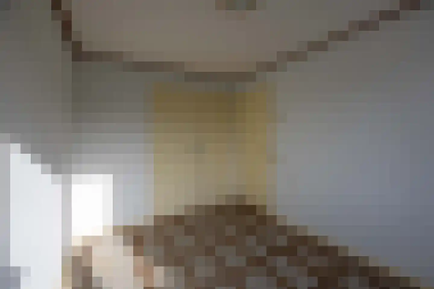 Meester Jansplein 4 Geijsteren thumbnail 14