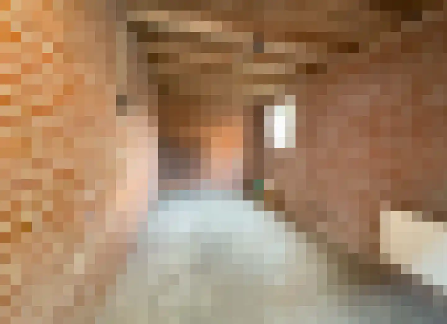 Meester Jansplein 4 Geijsteren thumbnail 20