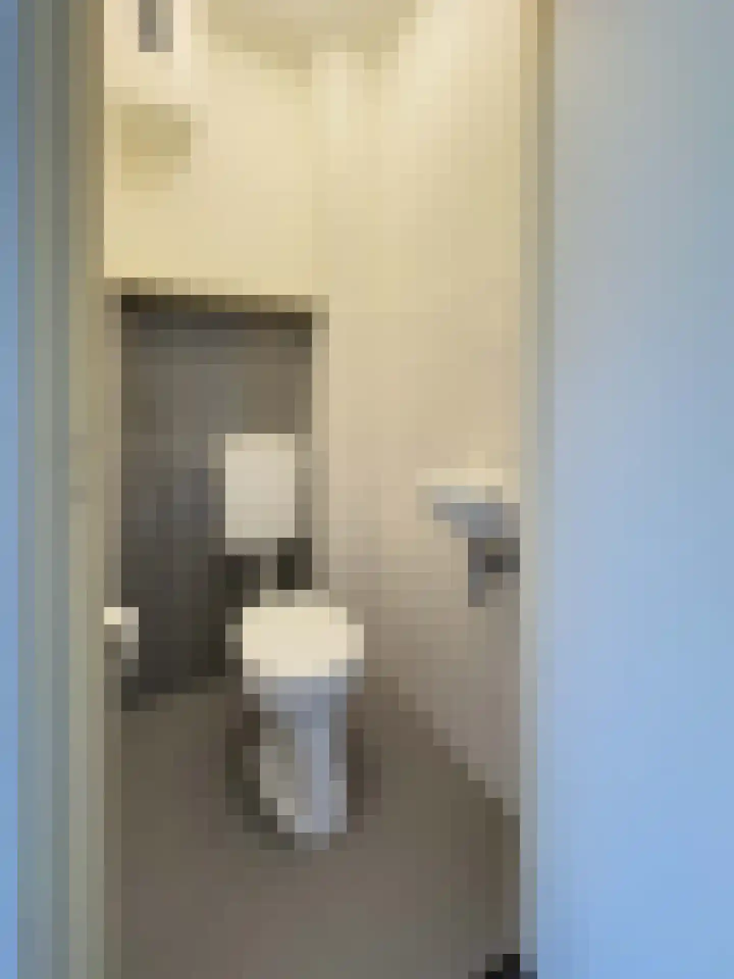Meester Jansplein 4 Geijsteren thumbnail 5