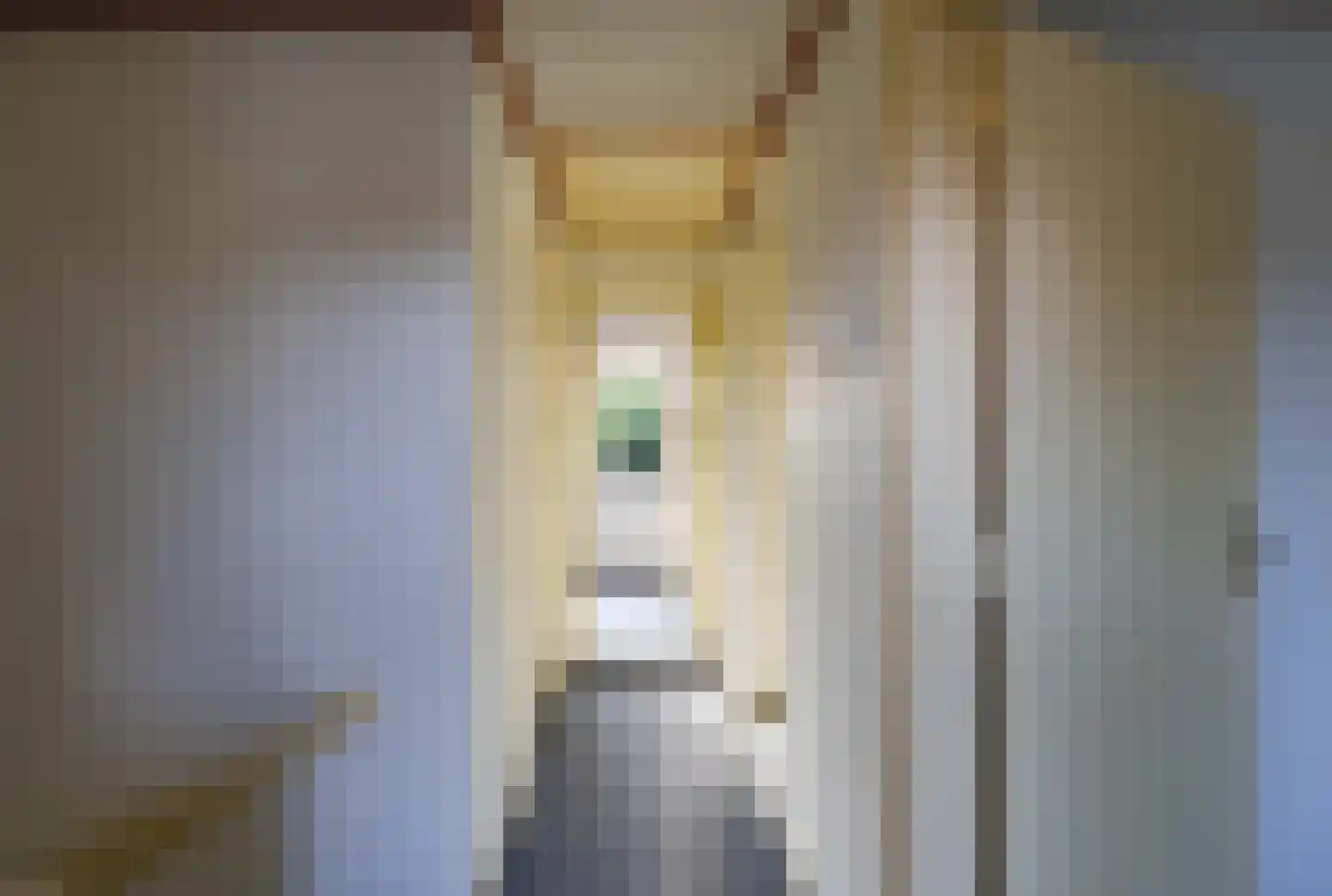Meester Jansplein 4 Geijsteren thumbnail 9