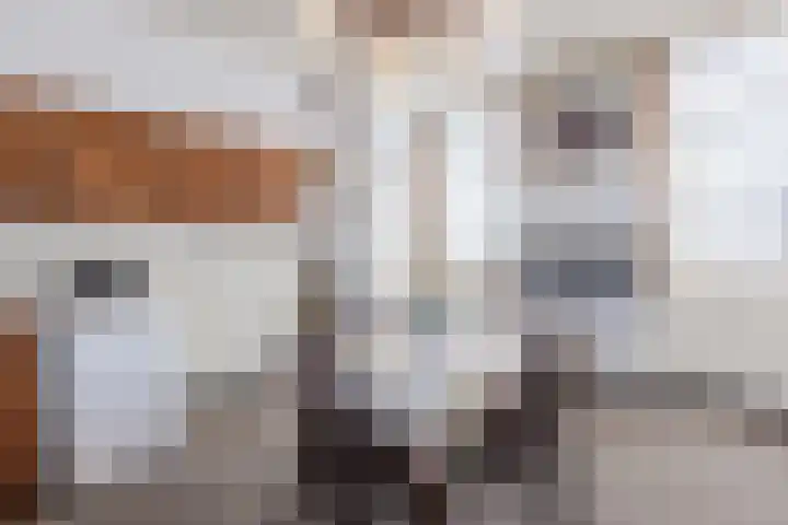 Meester Janssenweg 15 Dongen thumbnail 15