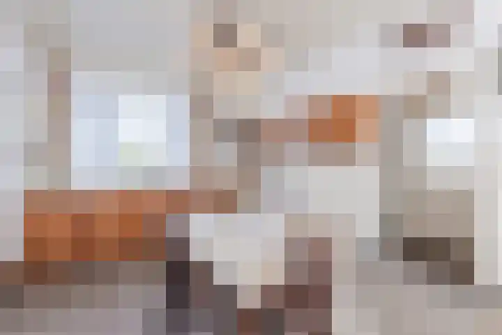 Meester Janssenweg 15 Dongen thumbnail 16