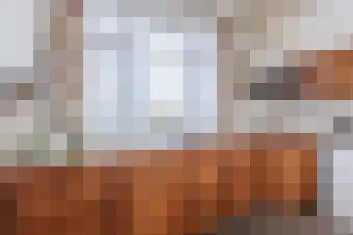 Meester Janssenweg 15 Dongen thumbnail 17
