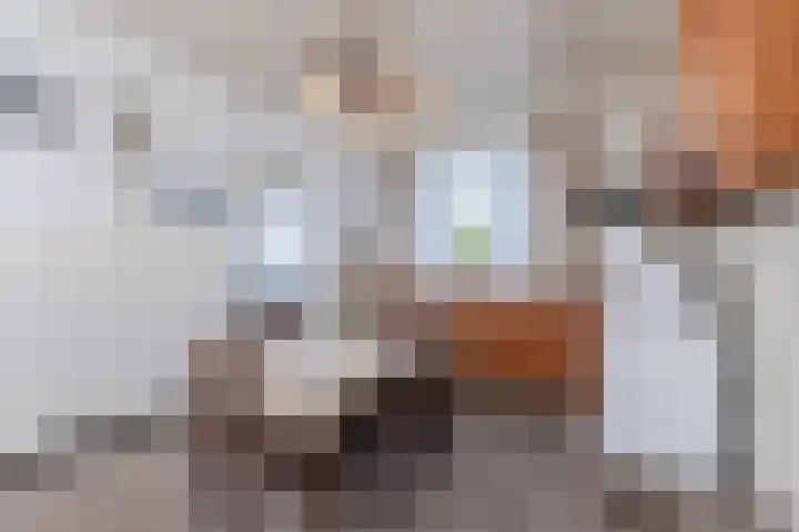 Meester Janssenweg 15 Dongen thumbnail 18