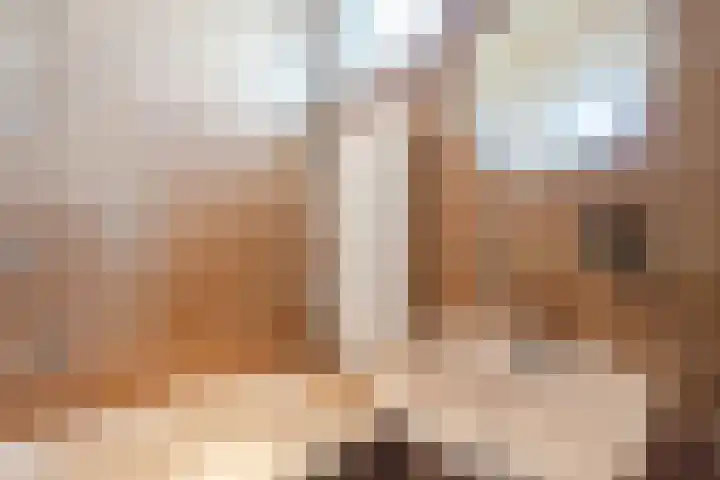 Meester Janssenweg 15 Dongen thumbnail 21