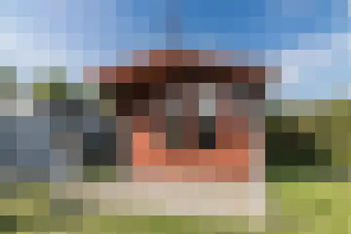 Meester Janssenweg 15 Dongen thumbnail 26