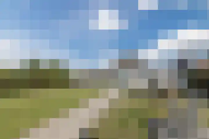 Meester Janssenweg 15 Dongen thumbnail 27