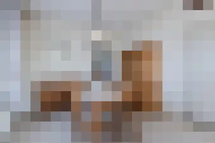 Meester Janssenweg 15 Dongen thumbnail 4
