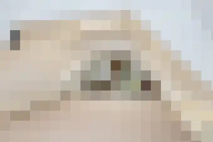 Meester Janssenweg 15 Dongen thumbnail 42