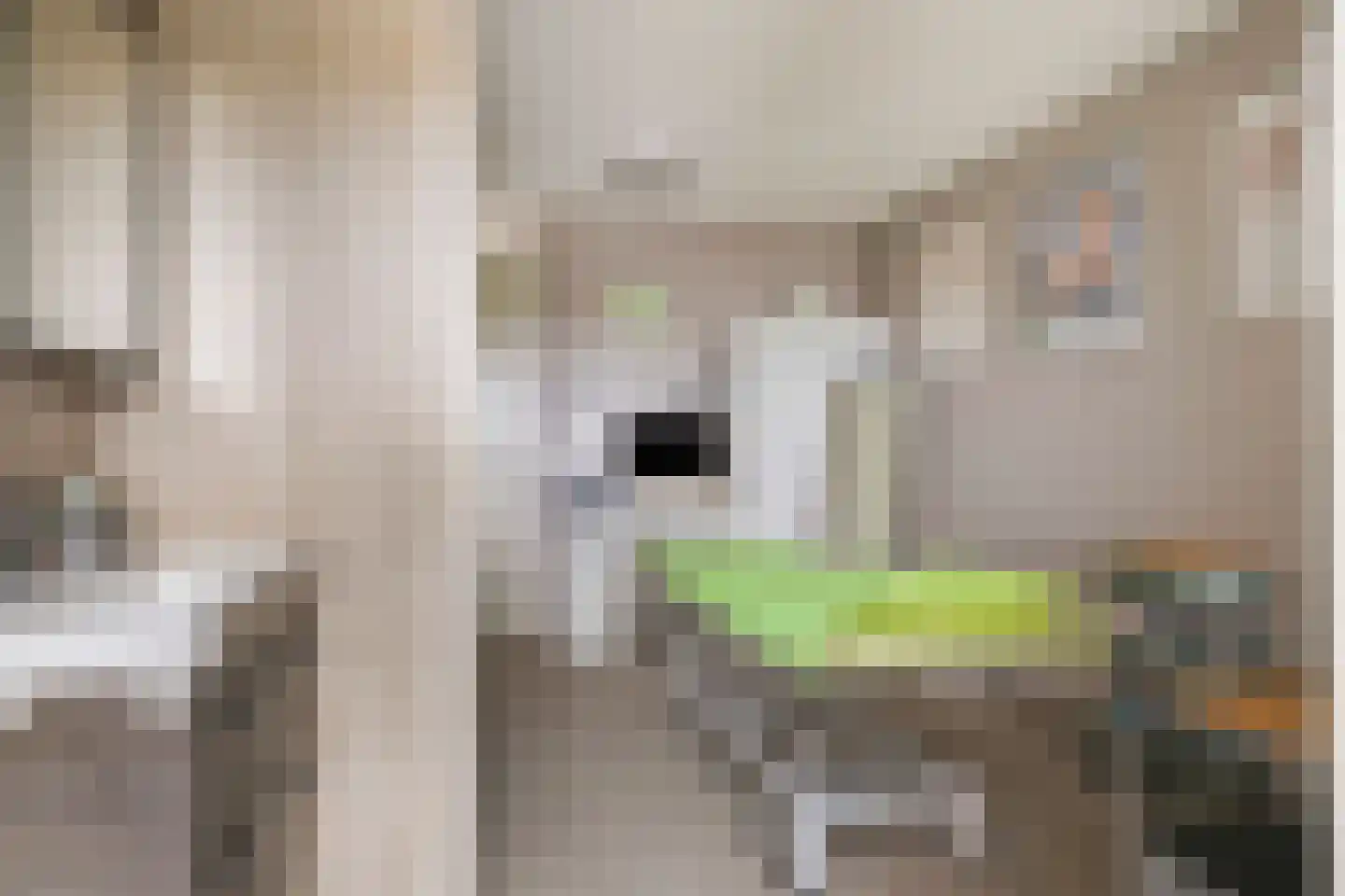 Meester Janssenweg 17 E Dongen thumbnail 20