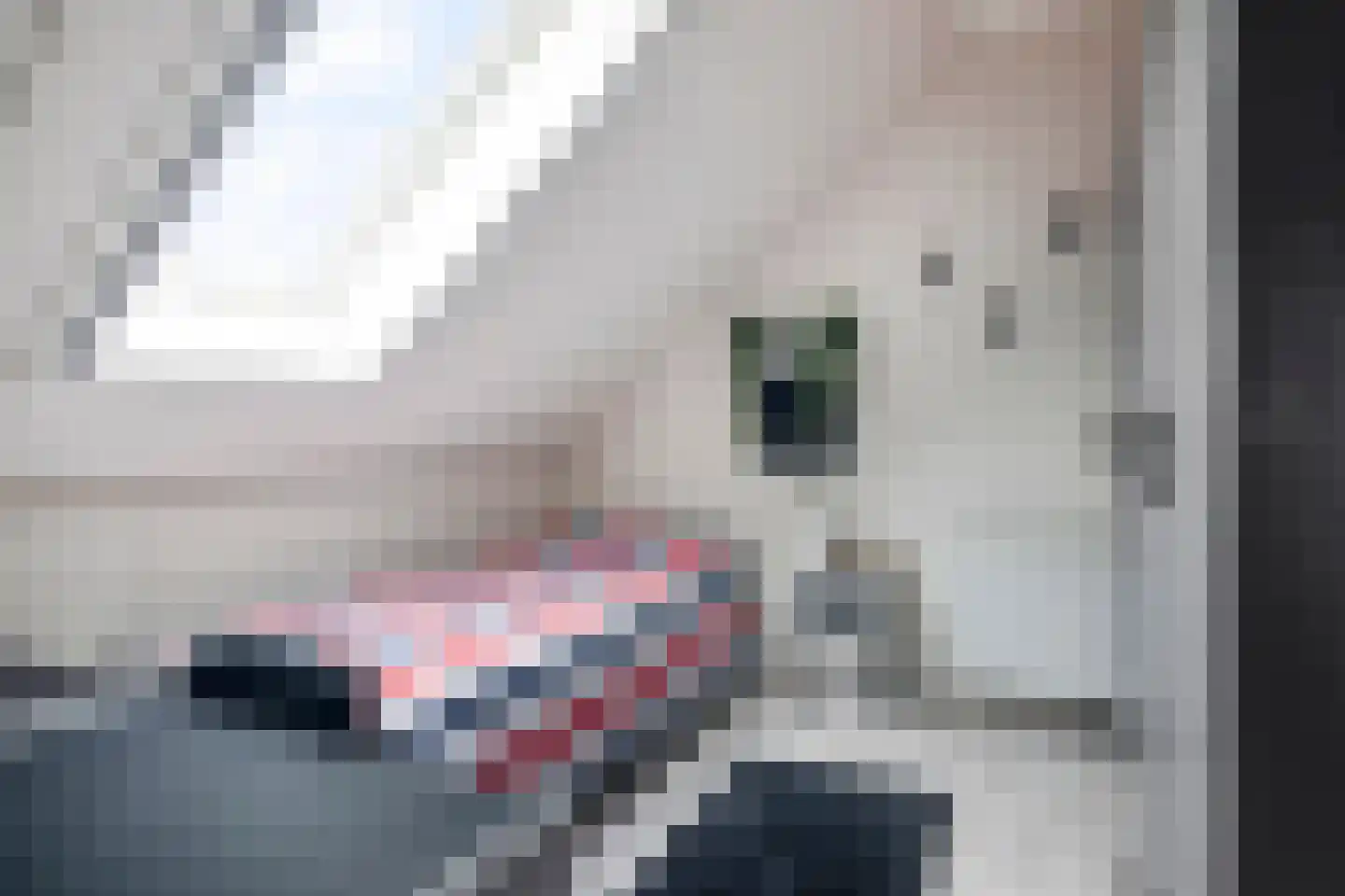 Meester Janssenweg 17 E Dongen thumbnail 30