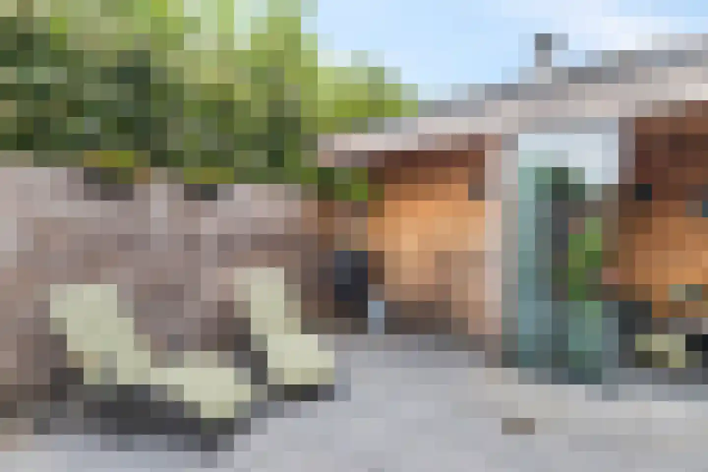 Meester Janssenweg 17 E Dongen thumbnail 33