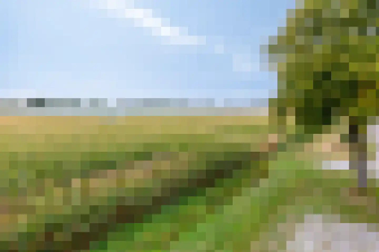 Meester Janssenweg 17 E Dongen thumbnail 5