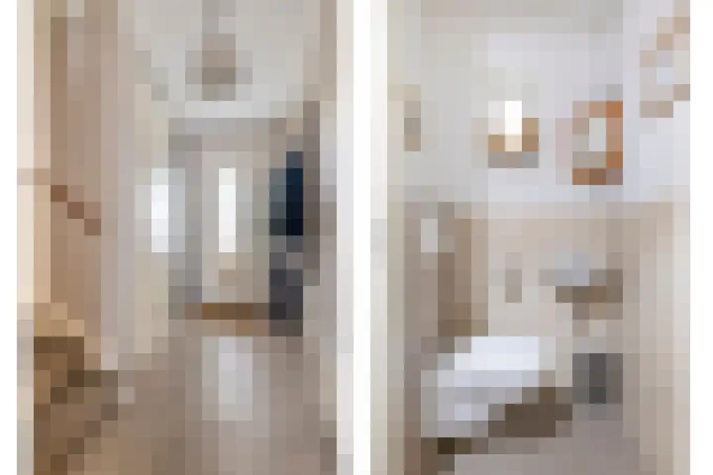 Meester Janssenweg 17 E Dongen thumbnail 6