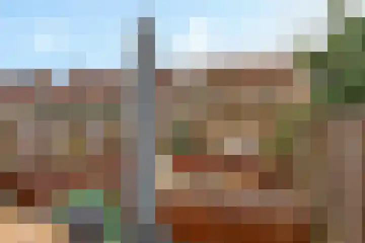 Meester Joerdenslaan 7 's-Hertogenbosch thumbnail 38