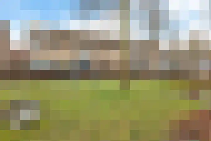 Meester Joerdenslaan 7 's-Hertogenbosch thumbnail 46