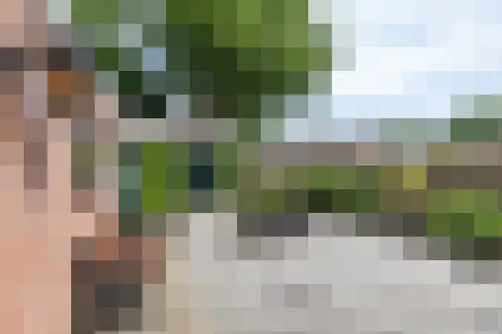 Meester Jongebloedstraat 2 Haulerwijk thumbnail 27
