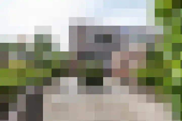 Meester Jongebloedstraat 2 Haulerwijk thumbnail 31