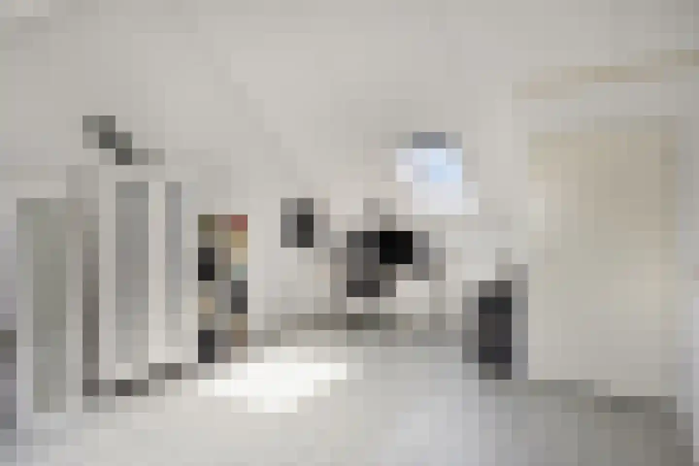 Meester K M van Dijkstraat 20 Opheusden thumbnail 26