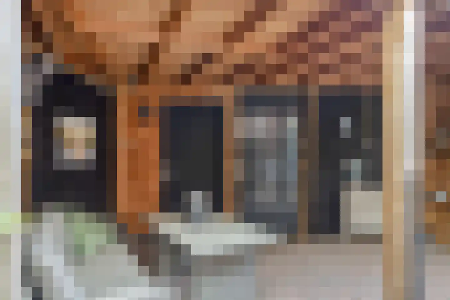 Meester K M van Dijkstraat 20 Opheusden thumbnail 33