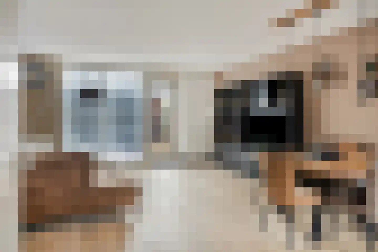 Meester K M van Dijkstraat 20 Opheusden thumbnail 4